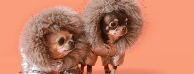 Can You BRRRR with Off-the-Plan? Not Quite. But Here's What You Can Do